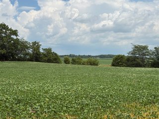 Property photo 77 - FARM AND WOODS AUCTION - 176.5+/-ACRES OFFERED IN 5 TRACTS IN WHITLEY COUNTY, INDIANA