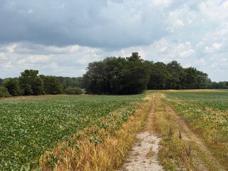 Property photo 76 - FARM AND WOODS AUCTION - 176.5+/-ACRES OFFERED IN 5 TRACTS IN WHITLEY COUNTY, INDIANA