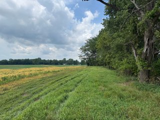Property photo 75 - FARM AND WOODS AUCTION - 176.5+/-ACRES OFFERED IN 5 TRACTS IN WHITLEY COUNTY, INDIANA