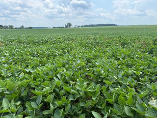 Property photo 48 - FARM AND WOODS AUCTION - 176.5+/-ACRES OFFERED IN 5 TRACTS IN WHITLEY COUNTY, INDIANA