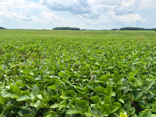 Property photo 49 - FARM AND WOODS AUCTION - 176.5+/-ACRES OFFERED IN 5 TRACTS IN WHITLEY COUNTY, INDIANA