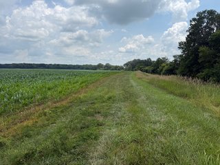 Property photo 50 - FARM AND WOODS AUCTION - 176.5+/-ACRES OFFERED IN 5 TRACTS IN WHITLEY COUNTY, INDIANA