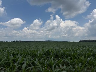 Property photo 73 - FARM AND WOODS AUCTION - 176.5+/-ACRES OFFERED IN 5 TRACTS IN WHITLEY COUNTY, INDIANA