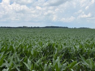 Property photo 51 - FARM AND WOODS AUCTION - 176.5+/-ACRES OFFERED IN 5 TRACTS IN WHITLEY COUNTY, INDIANA