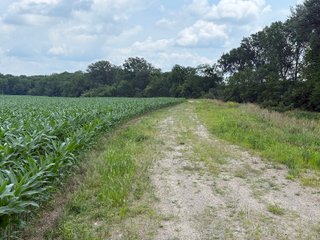 Property photo 72 - FARM AND WOODS AUCTION - 176.5+/-ACRES OFFERED IN 5 TRACTS IN WHITLEY COUNTY, INDIANA