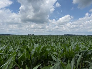 Property photo 71 - FARM AND WOODS AUCTION - 176.5+/-ACRES OFFERED IN 5 TRACTS IN WHITLEY COUNTY, INDIANA