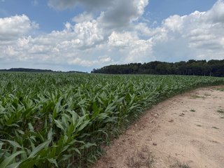 Property photo 70 - FARM AND WOODS AUCTION - 176.5+/-ACRES OFFERED IN 5 TRACTS IN WHITLEY COUNTY, INDIANA