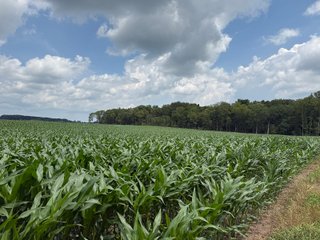 Property photo 55 - FARM AND WOODS AUCTION - 176.5+/-ACRES OFFERED IN 5 TRACTS IN WHITLEY COUNTY, INDIANA