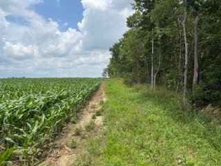 Property photo 56 - FARM AND WOODS AUCTION - 176.5+/-ACRES OFFERED IN 5 TRACTS IN WHITLEY COUNTY, INDIANA