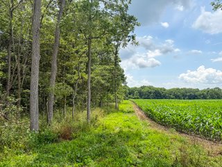 Property photo 57 - FARM AND WOODS AUCTION - 176.5+/-ACRES OFFERED IN 5 TRACTS IN WHITLEY COUNTY, INDIANA