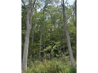 Property photo 82 - FARM AND WOODS AUCTION - 176.5+/-ACRES OFFERED IN 5 TRACTS IN WHITLEY COUNTY, INDIANA