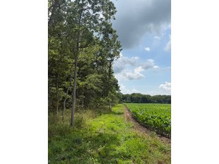 Property photo 62 - FARM AND WOODS AUCTION - 176.5+/-ACRES OFFERED IN 5 TRACTS IN WHITLEY COUNTY, INDIANA