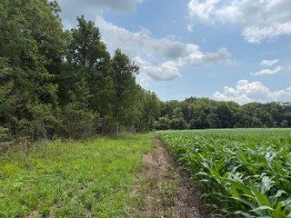 Property photo 58 - FARM AND WOODS AUCTION - 176.5+/-ACRES OFFERED IN 5 TRACTS IN WHITLEY COUNTY, INDIANA