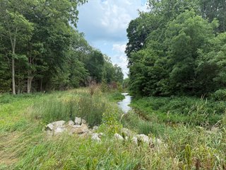 Property photo 59 - FARM AND WOODS AUCTION - 176.5+/-ACRES OFFERED IN 5 TRACTS IN WHITLEY COUNTY, INDIANA
