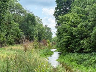 Property photo 60 - FARM AND WOODS AUCTION - 176.5+/-ACRES OFFERED IN 5 TRACTS IN WHITLEY COUNTY, INDIANA