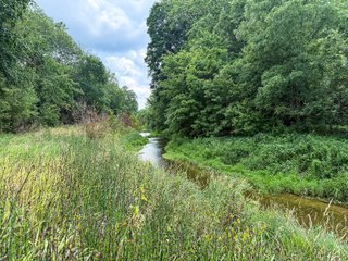 Property photo 61 - FARM AND WOODS AUCTION - 176.5+/-ACRES OFFERED IN 5 TRACTS IN WHITLEY COUNTY, INDIANA