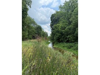 Property photo 63 - FARM AND WOODS AUCTION - 176.5+/-ACRES OFFERED IN 5 TRACTS IN WHITLEY COUNTY, INDIANA