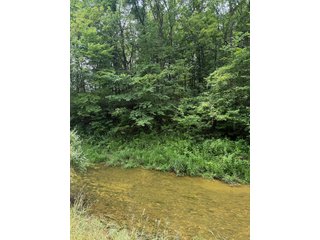 Property photo 65 - FARM AND WOODS AUCTION - 176.5+/-ACRES OFFERED IN 5 TRACTS IN WHITLEY COUNTY, INDIANA