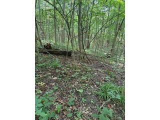 Property photo 86 - FARM AND WOODS AUCTION - 176.5+/-ACRES OFFERED IN 5 TRACTS IN WHITLEY COUNTY, INDIANA