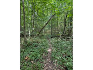 Property photo 87 - FARM AND WOODS AUCTION - 176.5+/-ACRES OFFERED IN 5 TRACTS IN WHITLEY COUNTY, INDIANA
