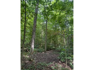 Property photo 88 - FARM AND WOODS AUCTION - 176.5+/-ACRES OFFERED IN 5 TRACTS IN WHITLEY COUNTY, INDIANA