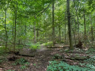 Property photo 89 - FARM AND WOODS AUCTION - 176.5+/-ACRES OFFERED IN 5 TRACTS IN WHITLEY COUNTY, INDIANA