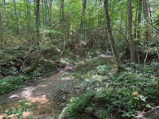 Property photo 90 - FARM AND WOODS AUCTION - 176.5+/-ACRES OFFERED IN 5 TRACTS IN WHITLEY COUNTY, INDIANA