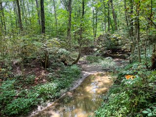 Property photo 91 - FARM AND WOODS AUCTION - 176.5+/-ACRES OFFERED IN 5 TRACTS IN WHITLEY COUNTY, INDIANA