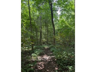 Property photo 92 - FARM AND WOODS AUCTION - 176.5+/-ACRES OFFERED IN 5 TRACTS IN WHITLEY COUNTY, INDIANA