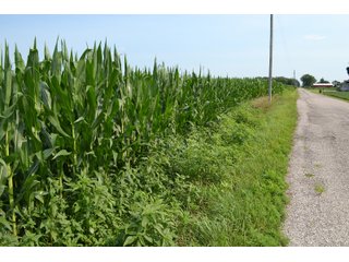 Property photo 20 - REAL ESTATE AUCTION - 105.5+/-ACRES OFFERED IN 3 TRACTS IN CASS COUNTY, INDIANA