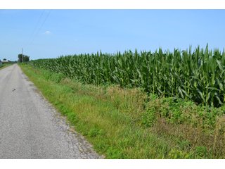 Property photo 21 - REAL ESTATE AUCTION - 105.5+/-ACRES OFFERED IN 3 TRACTS IN CASS COUNTY, INDIANA
