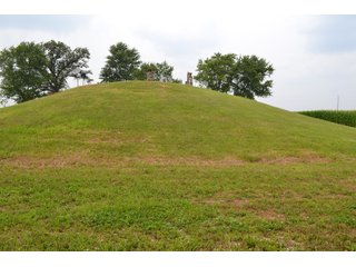 Property photo 28 - REAL ESTATE AUCTION - 105.5+/-ACRES OFFERED IN 3 TRACTS IN CASS COUNTY, INDIANA