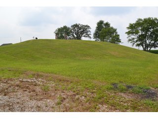 Property photo 29 - REAL ESTATE AUCTION - 105.5+/-ACRES OFFERED IN 3 TRACTS IN CASS COUNTY, INDIANA