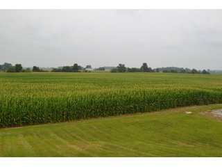 Property photo 22 - REAL ESTATE AUCTION - 105.5+/-ACRES OFFERED IN 3 TRACTS IN CASS COUNTY, INDIANA
