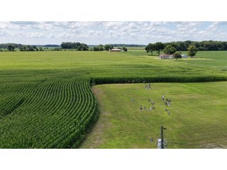 Property photo 13 - REAL ESTATE AUCTION - 105.5+/-ACRES OFFERED IN 3 TRACTS IN CASS COUNTY, INDIANA