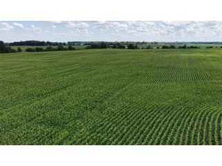 Property photo 12 - REAL ESTATE AUCTION - 105.5+/-ACRES OFFERED IN 3 TRACTS IN CASS COUNTY, INDIANA