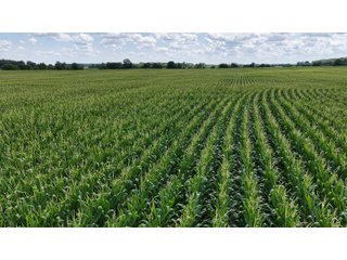 Property photo 11 - REAL ESTATE AUCTION - 105.5+/-ACRES OFFERED IN 3 TRACTS IN CASS COUNTY, INDIANA