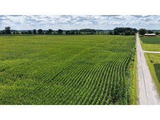 Property photo 10 - REAL ESTATE AUCTION - 105.5+/-ACRES OFFERED IN 3 TRACTS IN CASS COUNTY, INDIANA