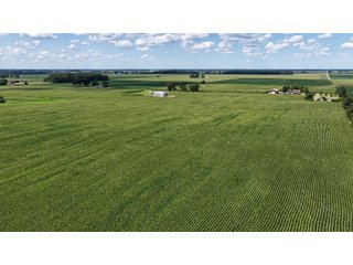 Property photo 9 - REAL ESTATE AUCTION - 105.5+/-ACRES OFFERED IN 3 TRACTS IN CASS COUNTY, INDIANA