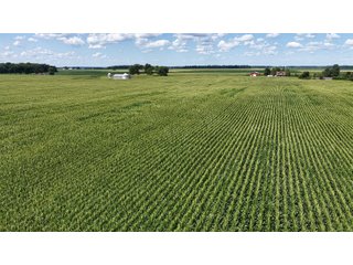 Property photo 3 - REAL ESTATE AUCTION - 105.5+/-ACRES OFFERED IN 3 TRACTS IN CASS COUNTY, INDIANA