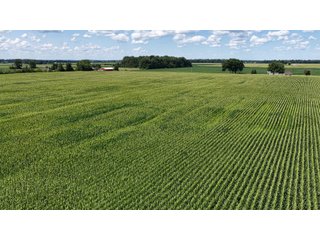 Property photo 4 - REAL ESTATE AUCTION - 105.5+/-ACRES OFFERED IN 3 TRACTS IN CASS COUNTY, INDIANA