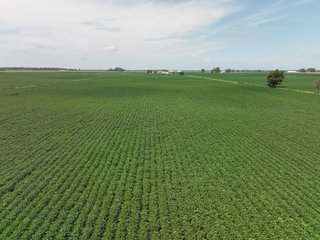Property photo 16 - LAND AUCTION - 197.27+/-ACRES OFFERED IN 8 TRACTS IN KOSCIUSKO COUNTY, INDIANA