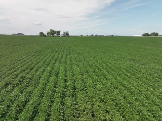 Property photo 18 - LAND AUCTION - 197.27+/-ACRES OFFERED IN 8 TRACTS IN KOSCIUSKO COUNTY, INDIANA
