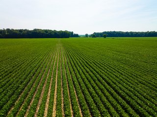 Property photo 4 - LAND AUCTION - 197.27+/-ACRES OFFERED IN 8 TRACTS IN KOSCIUSKO COUNTY, INDIANA