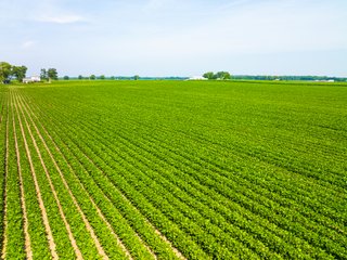 Property photo 1 - LAND AUCTION - 197.27+/-ACRES OFFERED IN 8 TRACTS IN KOSCIUSKO COUNTY, INDIANA