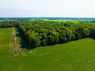 Property photo 9 - LAND AUCTION - 197.27+/-ACRES OFFERED IN 8 TRACTS IN KOSCIUSKO COUNTY, INDIANA