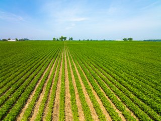Property photo 5 - LAND AUCTION - 197.27+/-ACRES OFFERED IN 8 TRACTS IN KOSCIUSKO COUNTY, INDIANA