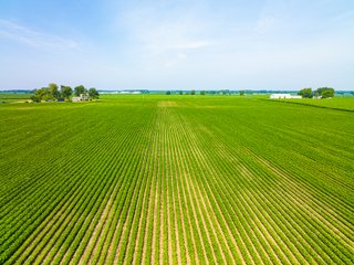 Property photo 6 - LAND AUCTION - 197.27+/-ACRES OFFERED IN 8 TRACTS IN KOSCIUSKO COUNTY, INDIANA