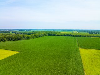 Property photo 20 - LAND AUCTION - 197.27+/-ACRES OFFERED IN 8 TRACTS IN KOSCIUSKO COUNTY, INDIANA