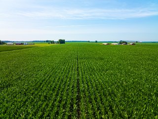 Property photo 23 - LAND AUCTION - 197.27+/-ACRES OFFERED IN 8 TRACTS IN KOSCIUSKO COUNTY, INDIANA